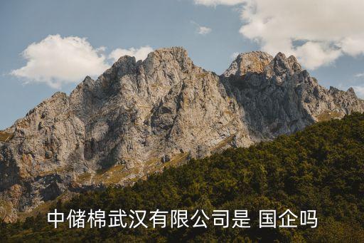 中國大紡織國企有哪些