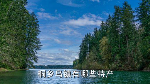  桐鄉(xiāng)烏鎮(zhèn)有哪些特產(chǎn)