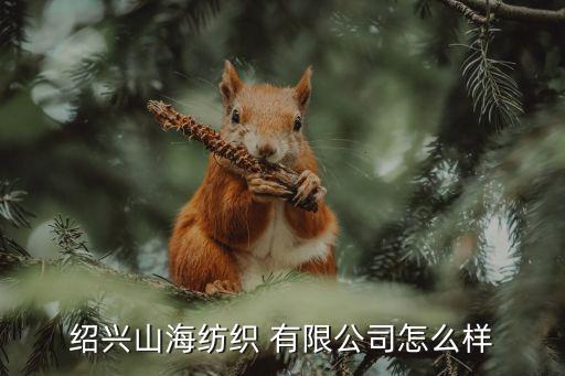 紹興山海紡織 有限公司怎么樣