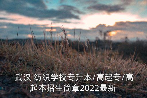  武漢 紡織學(xué)校專升本/高起專/高起本招生簡章2022最新