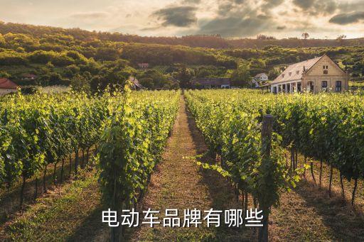 浙江振亞控股集團(tuán)有限公司,浙江七色彩虹控股集團(tuán)有限公司