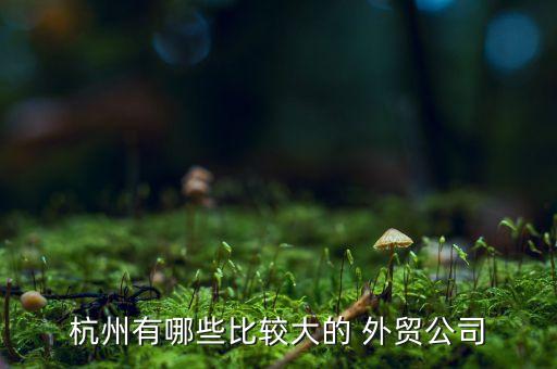 杭州有哪些比較大的 外貿(mào)公司