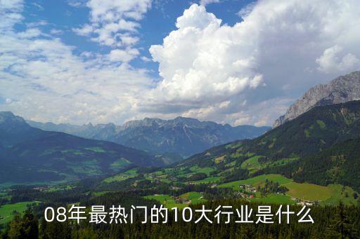 08年最熱門的10大行業(yè)是什么