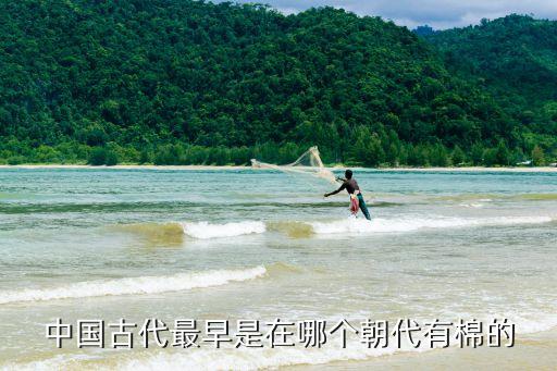 古時候有羊毛紡織制品嗎