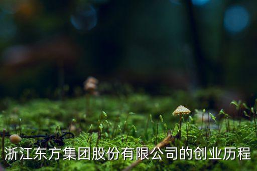 浙江東方集團(tuán)股份有限公司的創(chuàng)業(yè)歷程