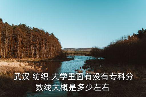  武漢 紡織 大學里面有沒有?？品謹?shù)線大概是多少左右