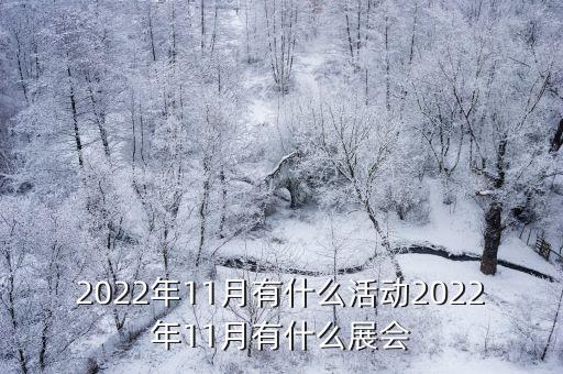 2022年11月有什么活動2022年11月有什么展會