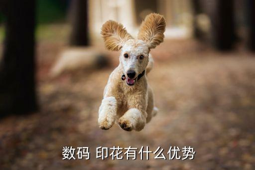  數(shù)碼 印花有什么優(yōu)勢(shì)