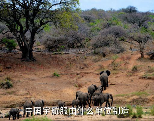 中國(guó)宇航服由什么單位制造