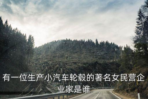 紡織倍捻機是做什么的