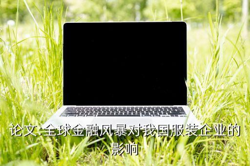 論文:全球金融風(fēng)暴對我國服裝企業(yè)的影響