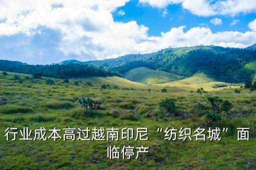 行業(yè)成本高過越南印尼“紡織名城”面臨停產(chǎn)