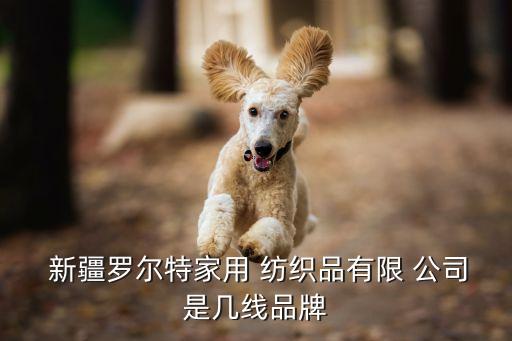  新疆羅爾特家用 紡織品有限 公司是幾線品牌
