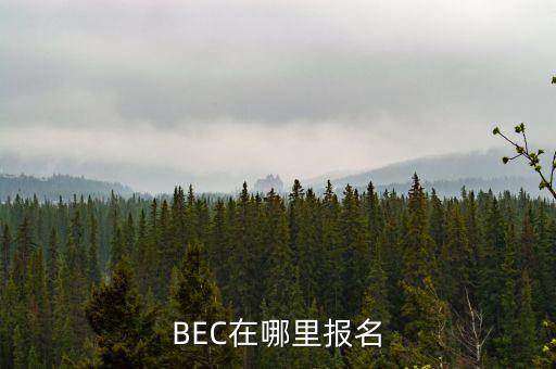 BEC在哪里報(bào)名