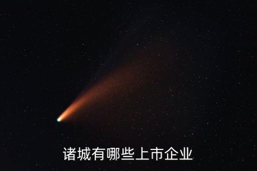 諸城有哪些上市企業(yè)