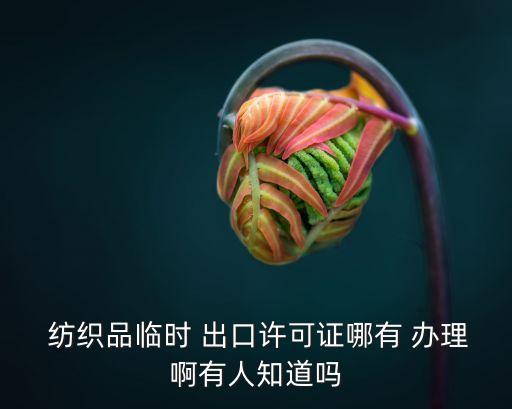  紡織品臨時 出口許可證哪有 辦理啊有人知道嗎