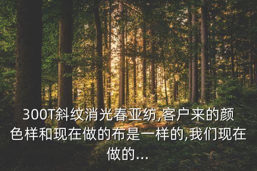 面料300t 什么意思