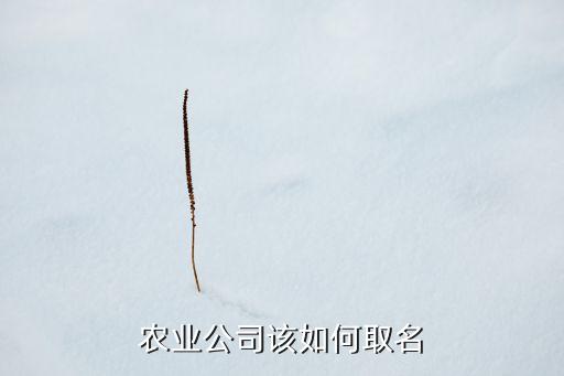 農(nóng)業(yè)公司該如何取名