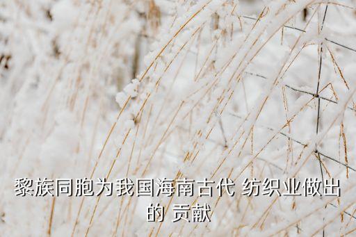 黎族同胞為我國海南古代 紡織業(yè)做出的 貢獻(xiàn)