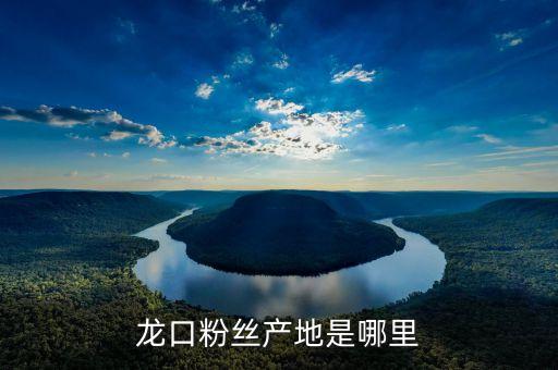 上海絲如服飾有限公司,杭州依蕊絲服飾有限公司