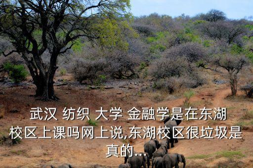 武漢紡織大學(xué)的金融系怎么樣