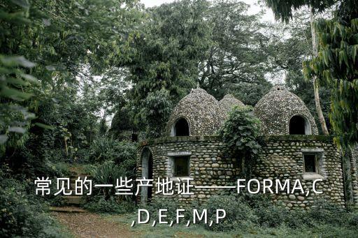 常見的一些產(chǎn)地證——FORMA,C,D,E,F,M,P