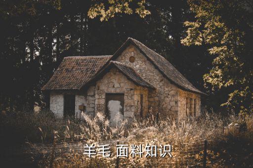  羊毛 面料知識(shí)