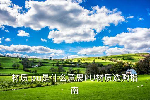 材質(zhì) pu是什么意思PU材質(zhì)選購指南