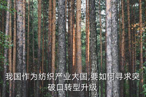 我國作為紡織產(chǎn)業(yè)大國,要如何尋求突破口轉(zhuǎn)型升級