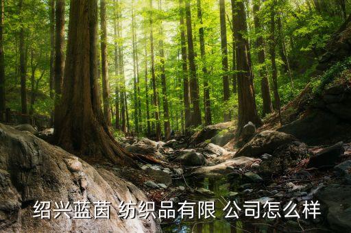  紹興藍(lán)茵 紡織品有限 公司怎么樣