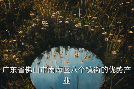 廣東省佛山市南海區(qū)八個鎮(zhèn)街的優(yōu)勢產(chǎn)業(yè)