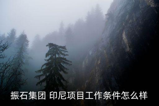 印尼家和紡織公司,印尼最大紡織公司