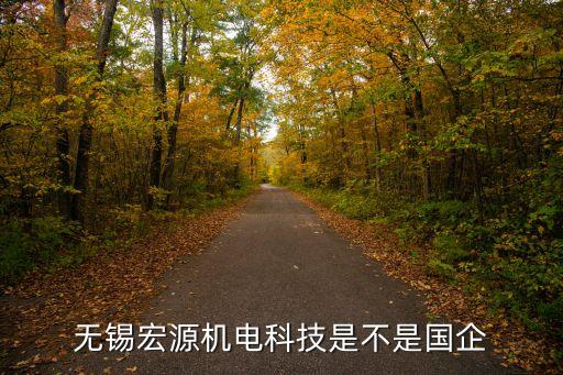 無錫宏源機(jī)電科技是不是國企