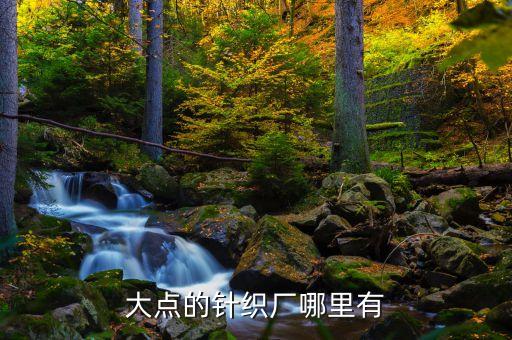 大點(diǎn)的針織廠哪里有