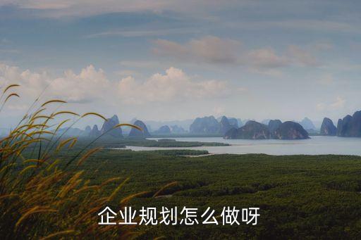 企業(yè)規(guī)劃怎么做呀