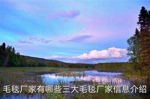 毛毯廠家有哪些三大毛毯廠家信息介紹
