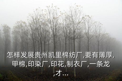 怎樣發(fā)展貴州凱里棉紡廠,要有薄厚,甲棉,印染廠,印花,制衣廠,一條龍,才...
