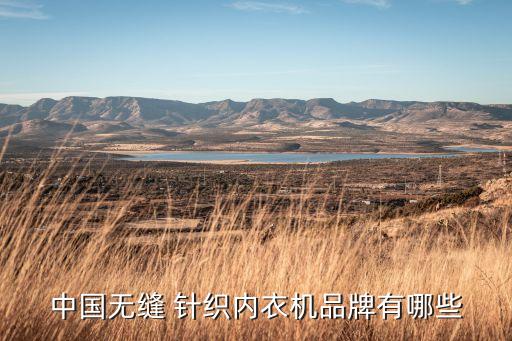 上海珩盛針織機械有限公司,斯拓針織機械(上海)有限公司