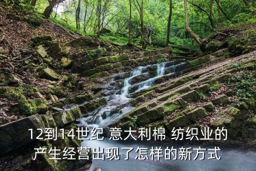 12到14世紀(jì) 意大利棉 紡織業(yè)的產(chǎn)生經(jīng)營出現(xiàn)了怎樣的新方式