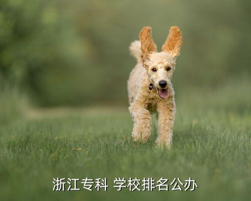 中大紡織學(xué)校,清遠中大紡織城