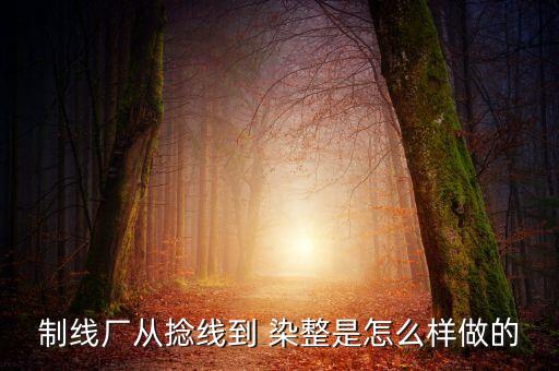 制線廠從捻線到 染整是怎么樣做的