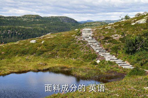  面料成分的 英語