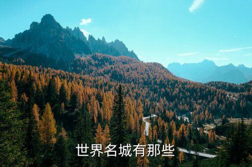 臨清市林城紡織,林城紡織有限公司