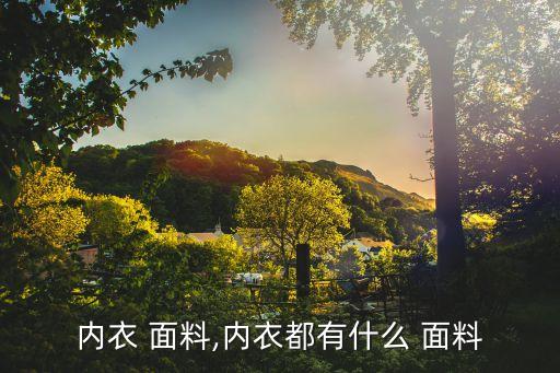 內(nèi)衣 面料,內(nèi)衣都有什么 面料