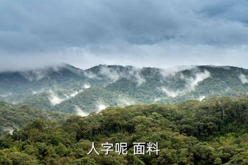 人字呢 面料