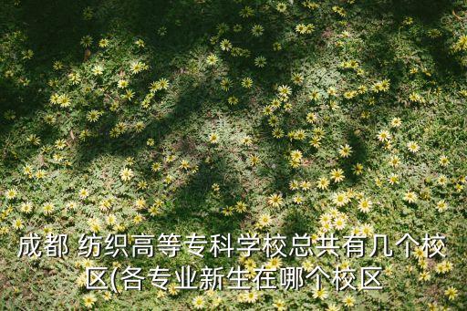 紡織服裝十三五