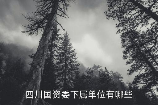 四川國(guó)資委下屬單位有哪些