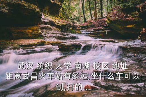 武漢 紡織 大學(xué) 南湖 校區(qū) 地址距離武昌火車站有多遠(yuǎn),坐什么車可以到,打的...