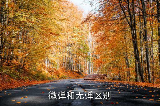 微彈和無彈區(qū)別