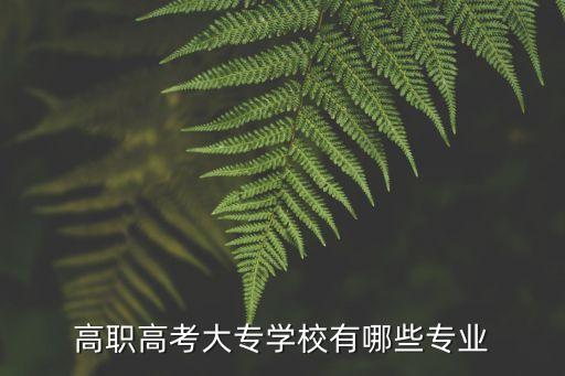 高職高考大專學(xué)校有哪些專業(yè)